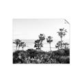 Picture of Palms Above the Sea _GroupedProduct_Rectangle_Landscape_Photography _GroupedProduct_Rectangle_Landscape_Unframed_Print_Only_