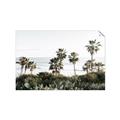 Picture of Palms Above the Sea _GroupedProduct_Rectangle_Landscape_Photography _GroupedProduct_Rectangle_Landscape_Unframed_Print_Only_