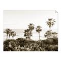 Picture of Palms Above the Sea _GroupedProduct_Rectangle_Landscape_Photography _GroupedProduct_Rectangle_Landscape_Unframed_Print_Only_