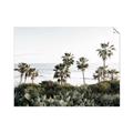 Picture of Palms Above the Sea _GroupedProduct_Rectangle_Landscape_Photography _GroupedProduct_Rectangle_Landscape_Unframed_Print_Only_