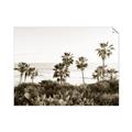 Picture of Palms Above the Sea _GroupedProduct_Rectangle_Landscape_Photography _GroupedProduct_Rectangle_Landscape_Unframed_Print_Only_