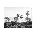 Picture of Palms Above the Sea _GroupedProduct_Rectangle_Landscape_Photography _GroupedProduct_Rectangle_Landscape_Unframed_Print_Only_