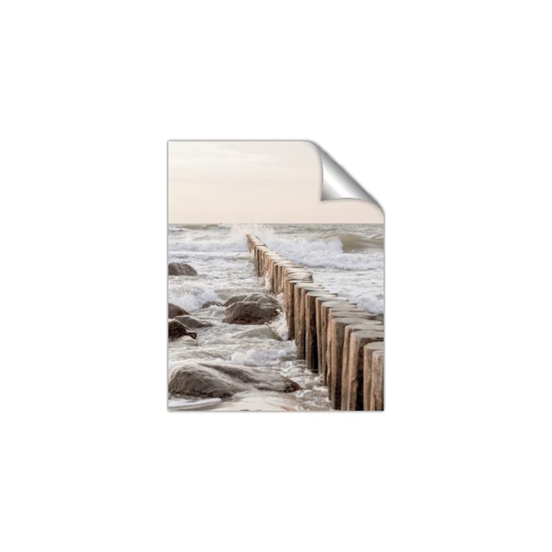 Picture of Rocks wood Sea _GroupedProduct_Rectangle_Portrait_Photography _GroupedProduct_Rectangle_Portrait_Unframed_Print_Only_