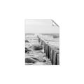 Picture of Rocks wood Sea _GroupedProduct_Rectangle_Portrait_Photography _GroupedProduct_Rectangle_Portrait_Unframed_Print_Only_