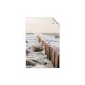 Picture of Rocks wood Sea _GroupedProduct_Rectangle_Portrait_Photography _GroupedProduct_Rectangle_Portrait_Unframed_Print_Only_