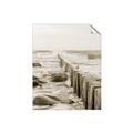 Picture of Rocks wood Sea _GroupedProduct_Rectangle_Portrait_Photography _GroupedProduct_Rectangle_Portrait_Unframed_Print_Only_