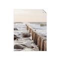 Picture of Rocks wood Sea _GroupedProduct_Rectangle_Portrait_Photography _GroupedProduct_Rectangle_Portrait_Unframed_Print_Only_