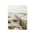 Picture of Rocks wood Sea _GroupedProduct_Rectangle_Portrait_Photography _GroupedProduct_Rectangle_Portrait_Unframed_Print_Only_