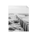 Picture of Rocks wood Sea _GroupedProduct_Rectangle_Portrait_Photography _GroupedProduct_Rectangle_Portrait_Unframed_Print_Only_