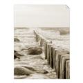 Picture of Rocks wood Sea _GroupedProduct_Rectangle_Portrait_Photography _GroupedProduct_Rectangle_Portrait_Unframed_Print_Only_