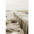 Picture of Rocks wood Sea _GroupedProduct_Rectangle_Portrait_Photography _GroupedProduct_Rectangle_Portrait_Unframed_Print_Only_