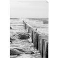Picture of Rocks wood Sea _GroupedProduct_Rectangle_Portrait_Photography _GroupedProduct_Rectangle_Portrait_Unframed_Print_Only_
