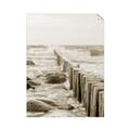 Picture of Rocks wood Sea _GroupedProduct_Rectangle_Portrait_Photography _GroupedProduct_Rectangle_Portrait_Unframed_Print_Only_