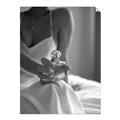 Picture of The Perfect Scent _GroupedProduct_Rectangle_Portrait_Photography _GroupedProduct_Rectangle_Portrait_Unframed_Print_Only_