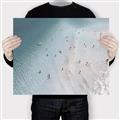 Picture of Seaside Swim _GroupedProduct_Rectangle_Landscape_Photography _GroupedProduct_Rectangle_Landscape_Canvas_