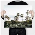Picture of Palms Above the Sea _GroupedProduct_Rectangle_Landscape_Photography _GroupedProduct_Rectangle_Landscape_Canvas_