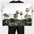 Picture of Palms Above the Sea _GroupedProduct_Rectangle_Landscape_Photography _GroupedProduct_Rectangle_Landscape_Canvas_