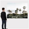 Picture of Palms Above the Sea _GroupedProduct_Rectangle_Landscape_Photography _GroupedProduct_Rectangle_Landscape_Canvas_