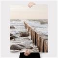 Picture of Rocks wood Sea _GroupedProduct_Rectangle_Portrait_Photography _GroupedProduct_Rectangle_Portrait_Canvas_