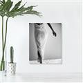 Picture of All dressed Up _GroupedProduct_Rectangle_Portrait_Photography _GroupedProduct_Rectangle_Portrait_Canvas_