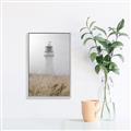 Picture of Lighthouse Dream _GroupedProduct_Rectangle_Portrait_Photography _GroupedProduct_Rectangle_Portrait_Canvas_Framed_