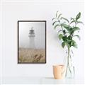 Picture of Lighthouse Dream _GroupedProduct_Rectangle_Portrait_Photography _GroupedProduct_Rectangle_Portrait_Canvas_Framed_