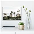 Picture of Palms Above the Sea _GroupedProduct_Rectangle_Landscape_Photography _GroupedProduct_Rectangle_Landscape_Canvas_Framed_