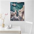 Picture of Private Cove _GroupedProduct_Rectangle_Portrait_Photography _GroupedProduct_Rectangle_Portrait_Canvas_Framed_