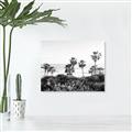 Picture of Palms Above the Sea _GroupedProduct_Rectangle_Landscape_Photography _GroupedProduct_Rectangle_Landscape_Unframed_Print_Only_