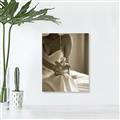Picture of The Perfect Scent _GroupedProduct_Rectangle_Portrait_Photography _GroupedProduct_Rectangle_Portrait_Unframed_Print_Only_