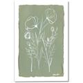 Picture of Floral Spritz II _GroupedProduct_Rectangle_Portrait_Canvas_