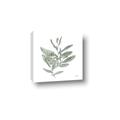 Picture of Leafy Look I _GroupedProduct_Square_Canvas_