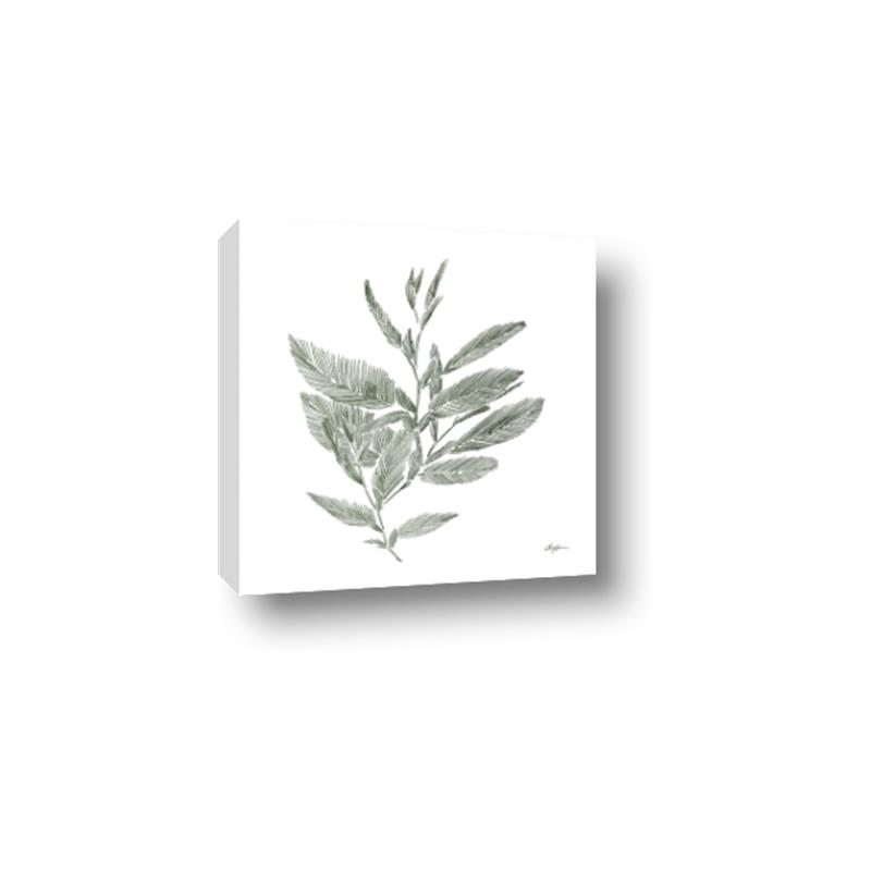 Picture of Leafy Look I _GroupedProduct_Square_Canvas_