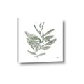 Picture of Leafy Look I _GroupedProduct_Square_Canvas_