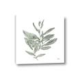 Picture of Leafy Look I _GroupedProduct_Square_Canvas_
