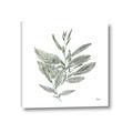 Picture of Leafy Look I _GroupedProduct_Square_Canvas_