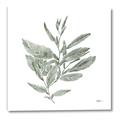 Picture of Leafy Look I _GroupedProduct_Square_Canvas_