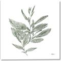 Picture of Leafy Look I _GroupedProduct_Square_Canvas_