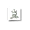 Picture of Leafy Look II _GroupedProduct_Square_Canvas_