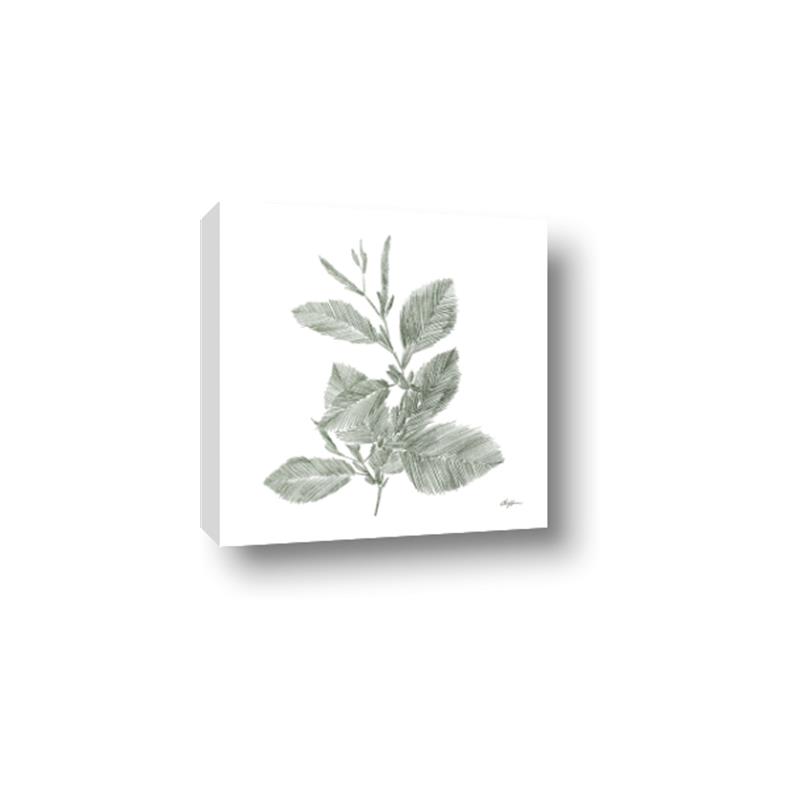 Picture of Leafy Look II _GroupedProduct_Square_Canvas_