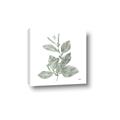 Picture of Leafy Look II _GroupedProduct_Square_Canvas_