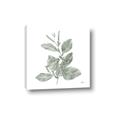 Picture of Leafy Look II _GroupedProduct_Square_Canvas_