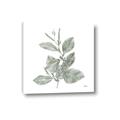 Picture of Leafy Look II _GroupedProduct_Square_Canvas_