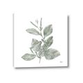 Picture of Leafy Look II _GroupedProduct_Square_Canvas_