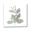 Picture of Leafy Look II _GroupedProduct_Square_Canvas_