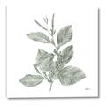 Picture of Leafy Look II _GroupedProduct_Square_Canvas_