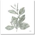 Picture of Leafy Look II _GroupedProduct_Square_Canvas_