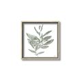 Picture of Leafy Look I _GroupedProduct_Square_Canvas_Framed_