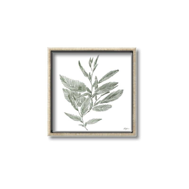 Picture of Leafy Look I _GroupedProduct_Square_Canvas_Framed_