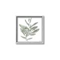 Picture of Leafy Look I _GroupedProduct_Square_Canvas_Framed_